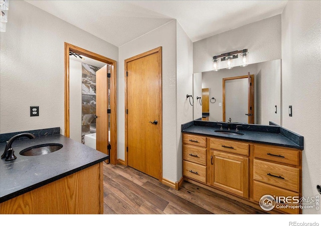 11837 County Road 39, Fort Lupton, CO 80621 - bathroom featuring wood finished floors and vanity