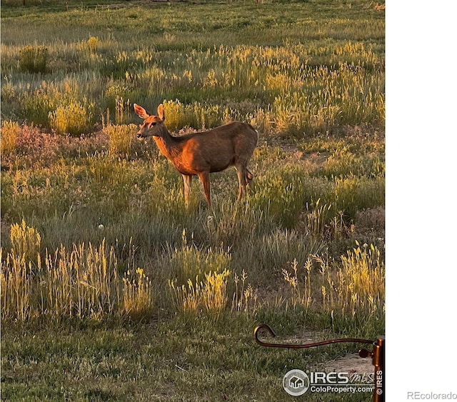 11837 County Road 39, Fort Lupton, CO 80621 - view of exterior details