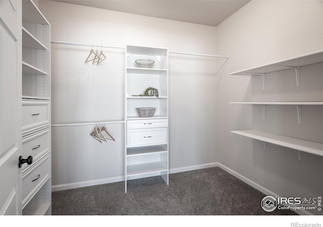 spacious closet featuring dark colored carpet