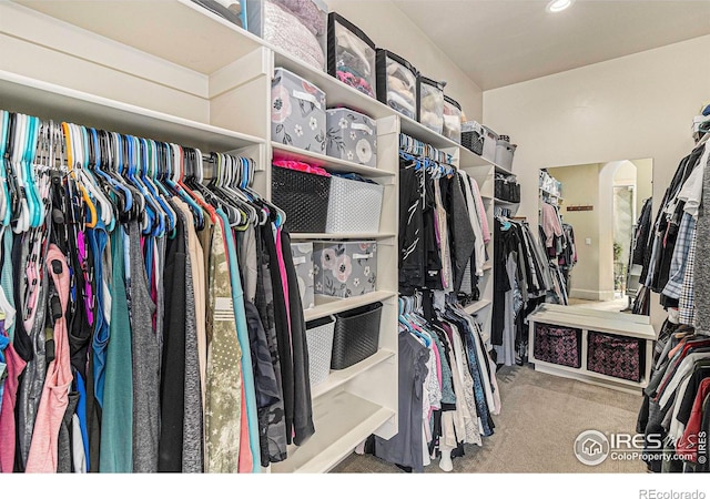 walk in closet with carpet floors