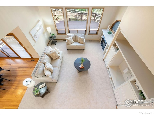 living area featuring a fireplace and wood finished floors