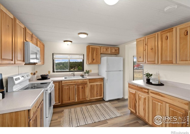 kitchen with light wood-type flooring, white appliances, light countertops, and a sink