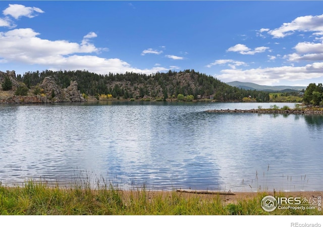 property view of water with a mountain view and a wooded view