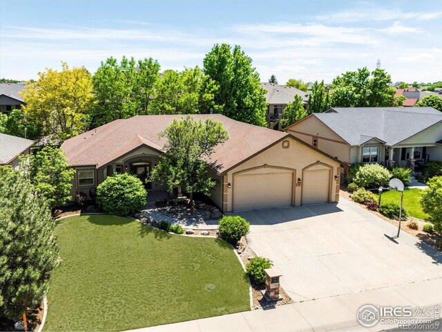 ranch-style home featuring driveway, a front lawn, an attached garage, and stucco siding