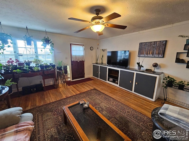 living room featuring ceiling fan, a textured ceiling, and wood finished floors