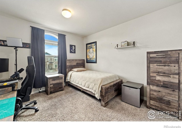 5473 Segundo Dr, Loveland, CO 80538 - photo 21