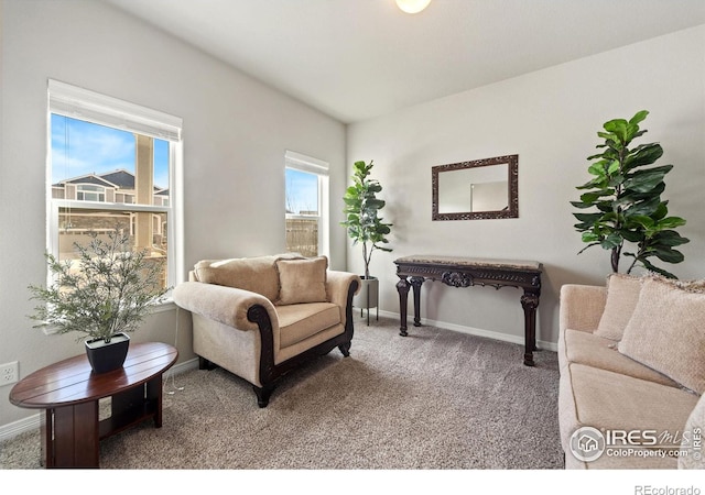 5473 Segundo Dr, Loveland, CO 80538 - photo 5