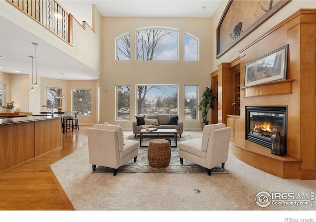 living area with light wood-type flooring and a fireplace