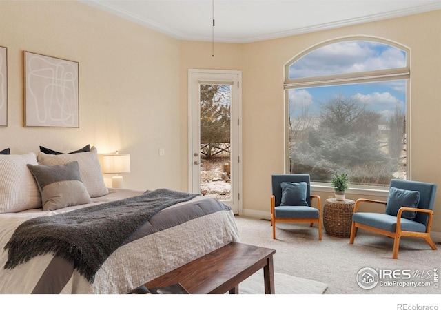 bedroom featuring access to exterior, light colored carpet, ornamental molding, and baseboards