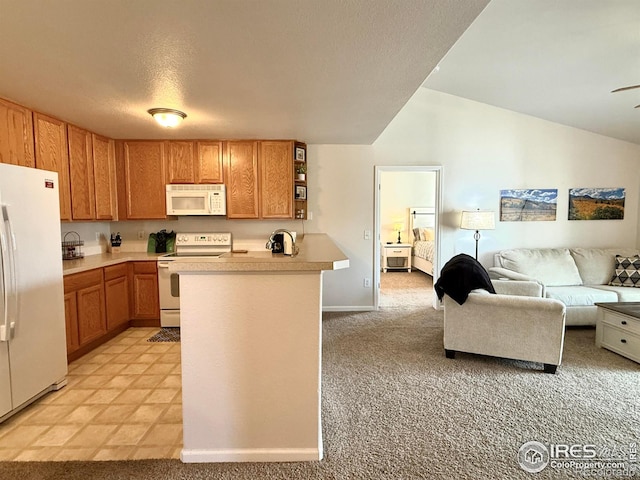 4645 Hahns Peak Dr Unit 201, Loveland, CO 80538 - kitchen with white appliances, open floor plan, light countertops, brown cabinets, and light colored carpet