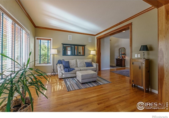 living room featuring baseboards, visible vents, crown molding, and wood finished floors