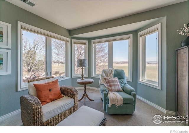 interior space featuring carpet floors, visible vents, and baseboards