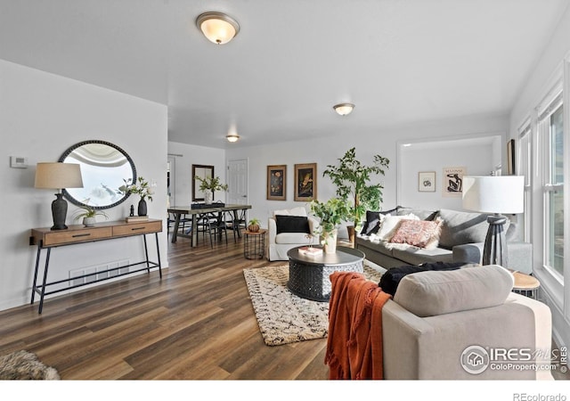 living room with dark wood finished floors