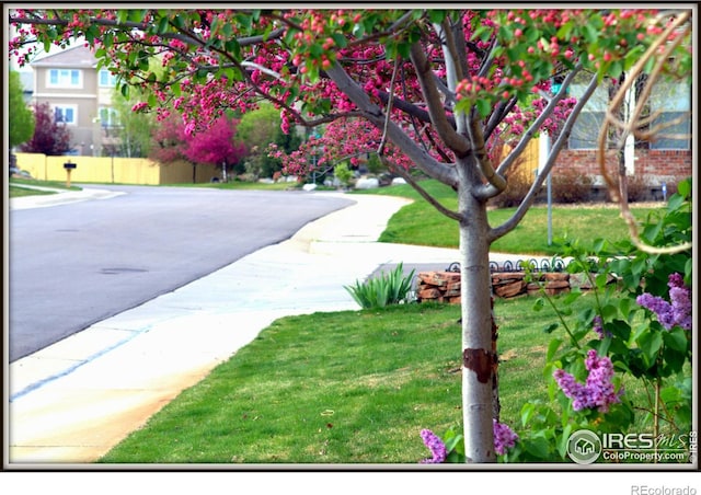 view of property's community with a yard