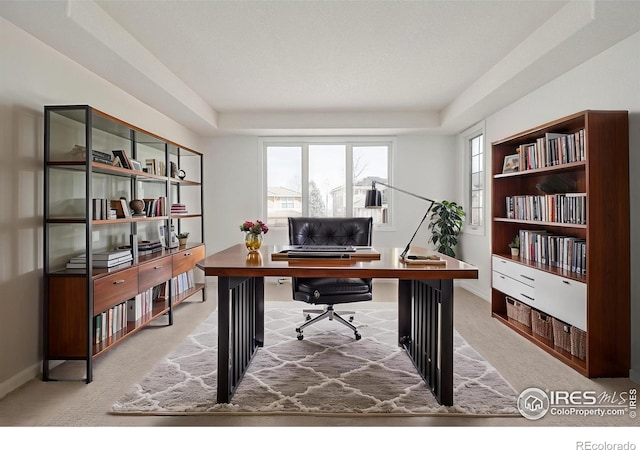 office space featuring light carpet, baseboards, and a tray ceiling