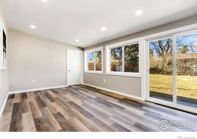 interior space featuring access to outside, multiple windows, and wood finished floors