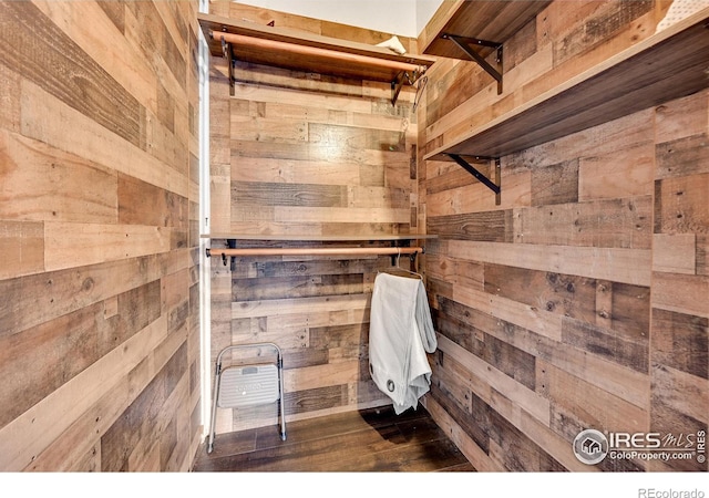 bathroom featuring wood walls and wood finished floors