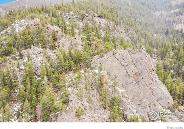 drone / aerial view with a wooded view