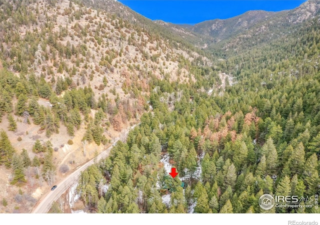 property view of mountains with a view of trees