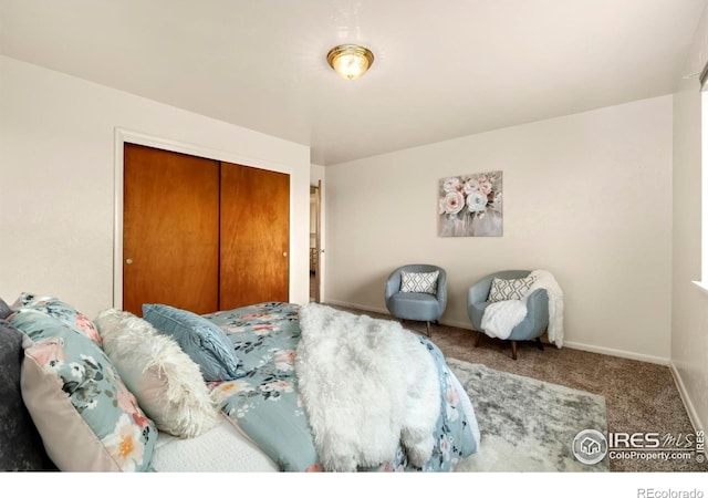 bedroom featuring carpet floors, a closet, and baseboards