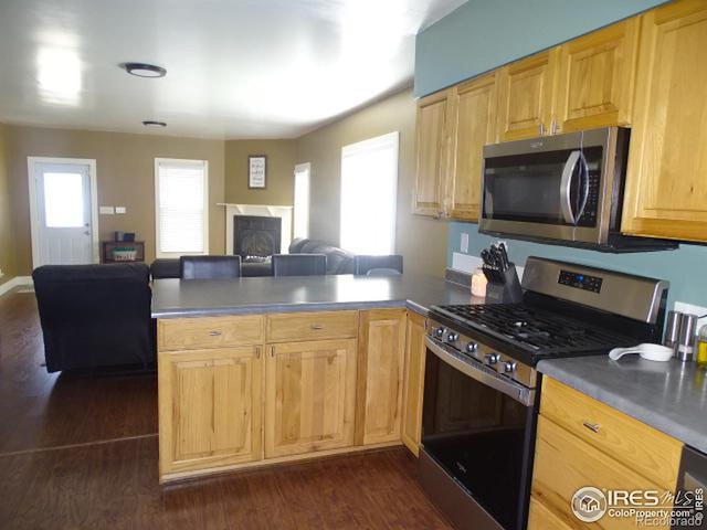 kitchen with dark wood-style floors, appliances with stainless steel finishes, open floor plan, a peninsula, and a fireplace