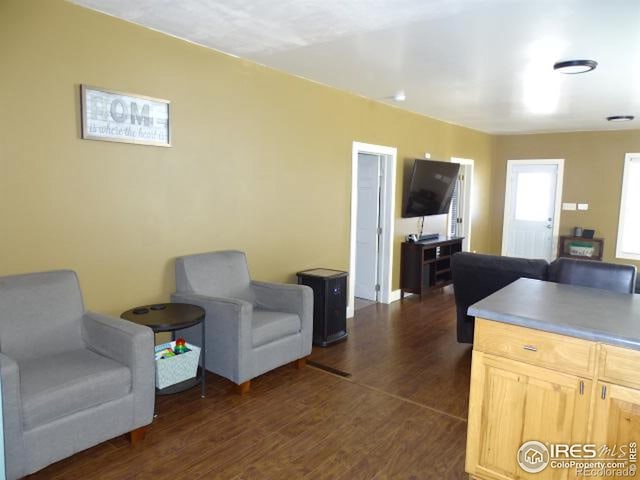 living room featuring dark wood-type flooring