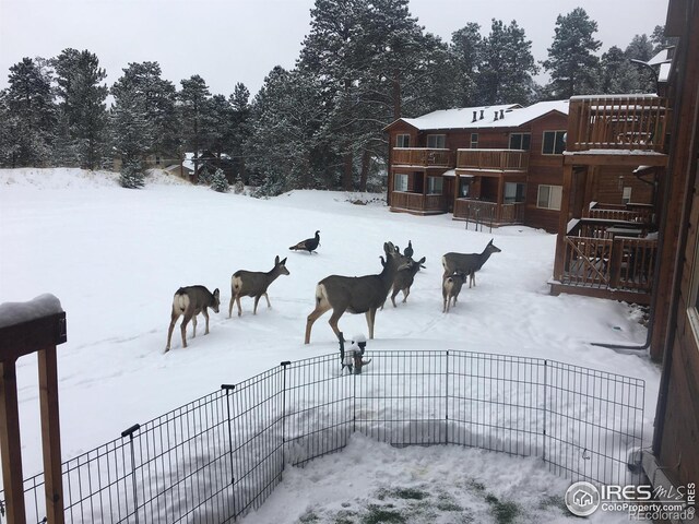 view of yard covered in snow