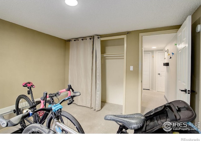 workout area featuring light carpet and a textured ceiling