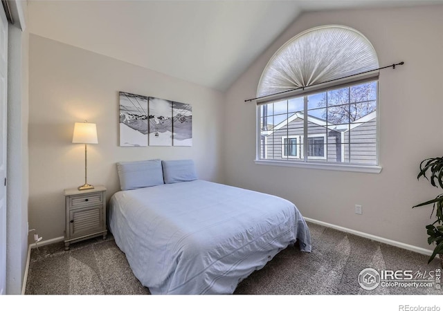 bedroom featuring lofted ceiling, carpet flooring, and baseboards