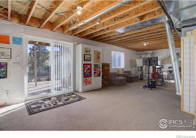 basement featuring carpet floors