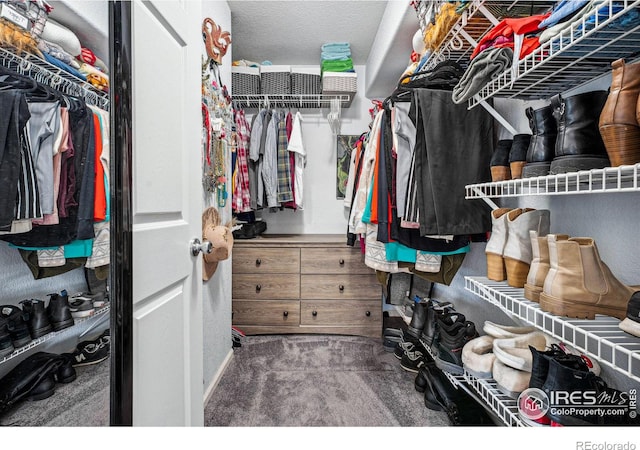 spacious closet featuring carpet flooring