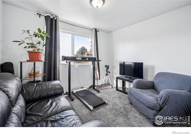 carpeted living room with a textured ceiling