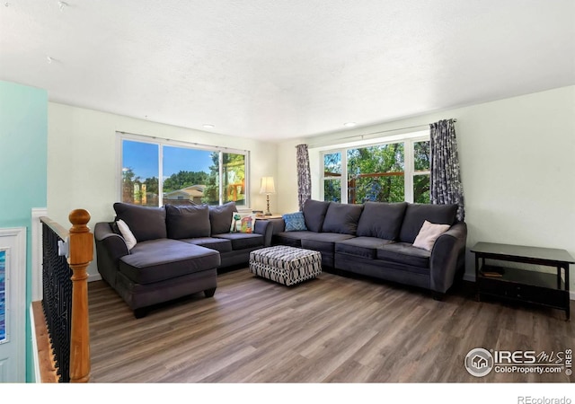 living room featuring a textured ceiling and wood finished floors