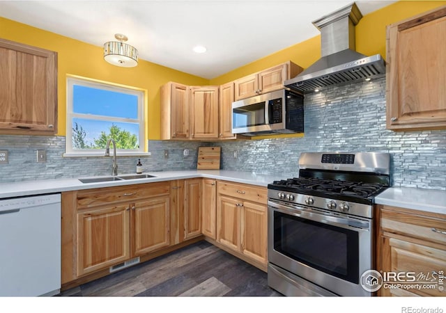 kitchen featuring range hood, stainless steel appliances, light countertops, light brown cabinets, and a sink