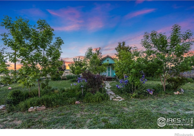 obstructed view of property with a front yard