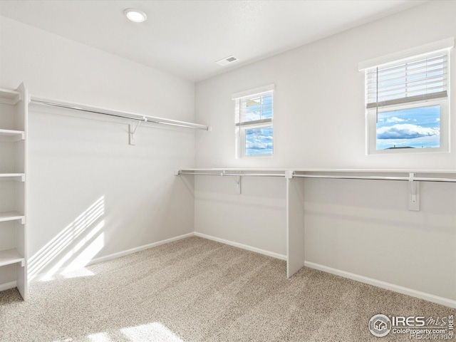 spacious closet featuring carpet floors and visible vents