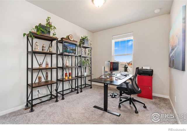 office featuring carpet and baseboards