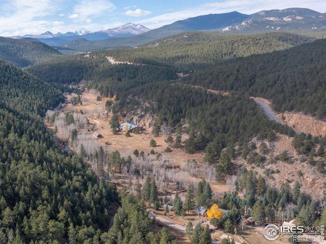 mountain view with a forest view