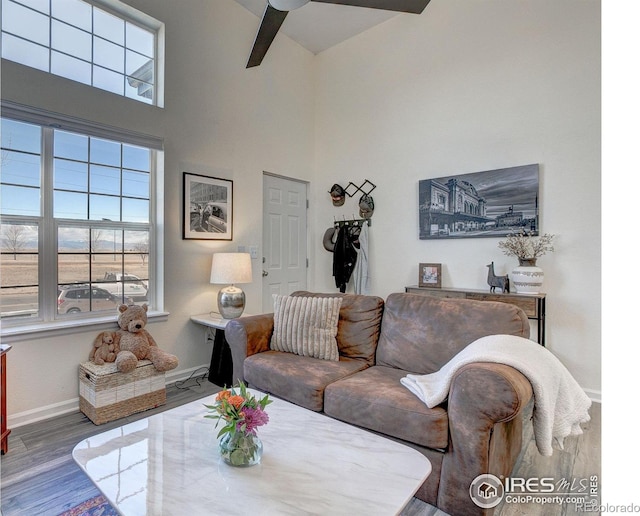 living room featuring a healthy amount of sunlight, a high ceiling, baseboards, and wood finished floors