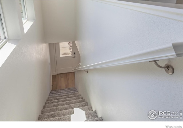 3282 Crusader St, Fort Collins, CO 80524 - stairs featuring plenty of natural light