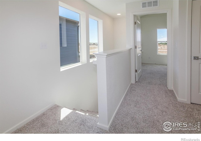3282 Crusader St, Fort Collins, CO 80524 - hallway featuring carpet, baseboards, and an upstairs landing