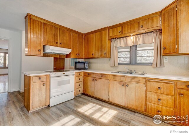 850 Shady Ln, Estes Park, CO 80517 - kitchen featuring white electric range oven, under cabinet range hood, black microwave, light wood-style flooring, and light countertops
