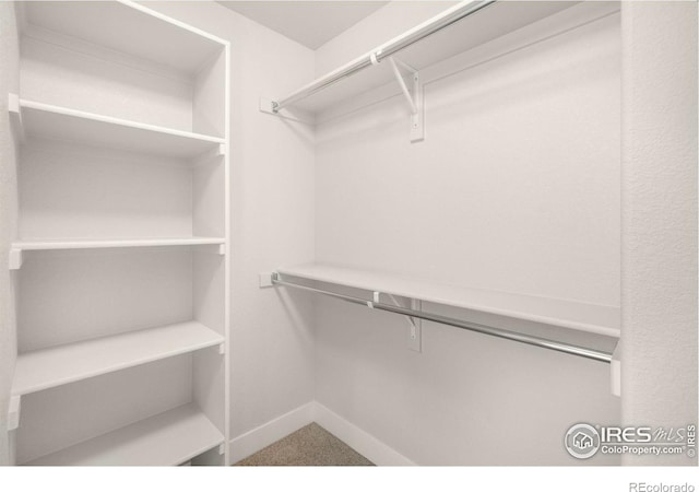 6997 Feather Reed Dr, Wellington, CO 80549 - view of walk in closet