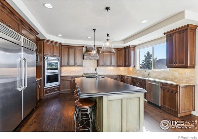 kitchen with a raised ceiling, an island with sink, appliances with stainless steel finishes, dark wood-style flooring, and custom exhaust hood