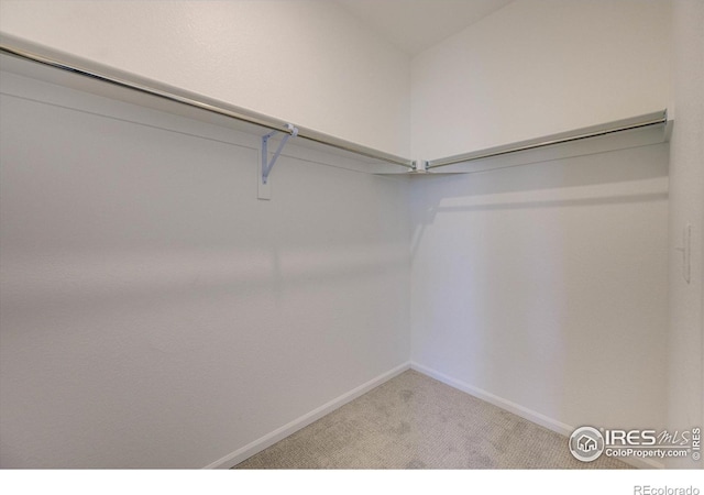 walk in closet with light colored carpet