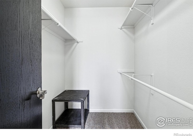 spacious closet with carpet