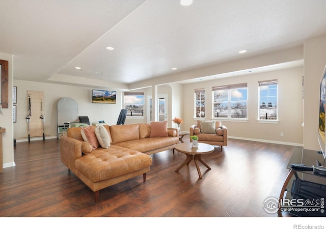 living area featuring baseboards, wood finished floors, and recessed lighting