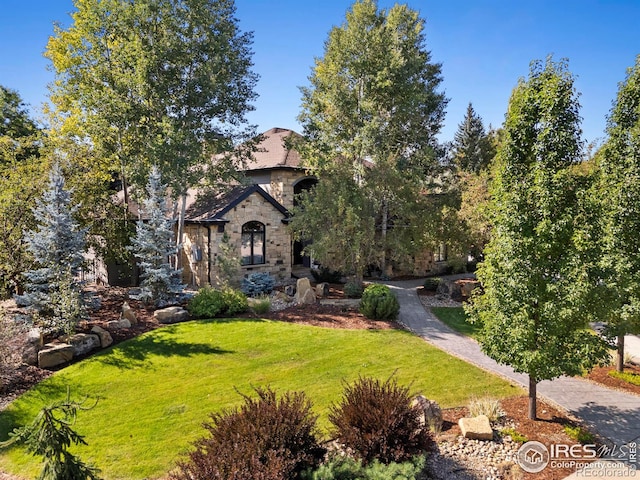 view of front facade with a front lawn and stone siding