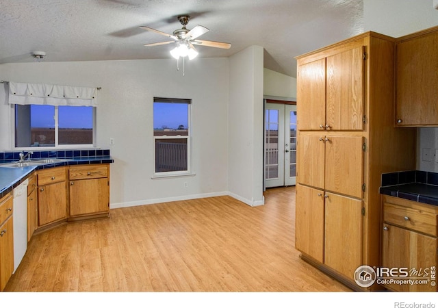 kitchen featuring a ceiling fan, dishwasher, light wood finished floors, and a sink