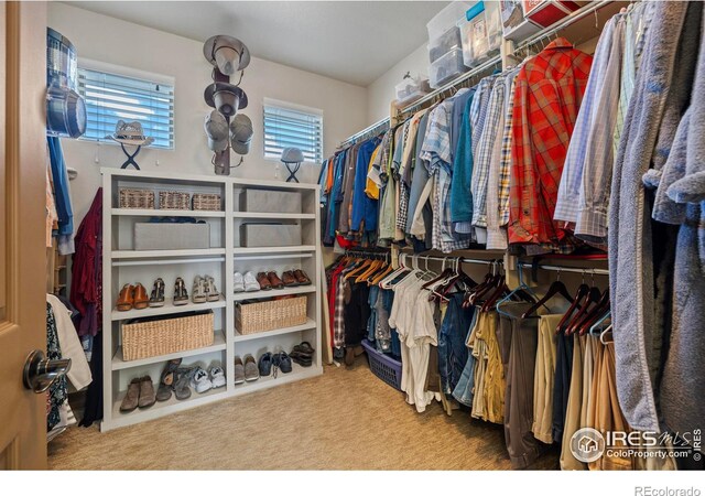 walk in closet featuring carpet